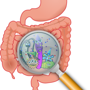 Il microbiota umano, ovvero come non sentirsi mai soli…e avere gli incubi!