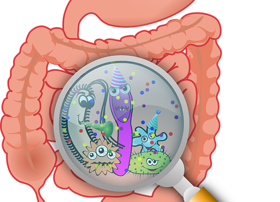 Il microbiota umano, ovvero come non sentirsi mai soli…e avere gli incubi!