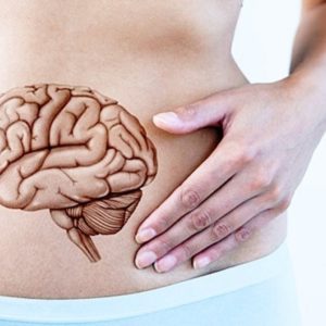 Come il nostro intestino regola le nostre emozioni