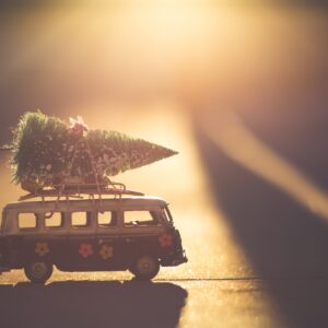 6+1 tips per arrivare (sani e) salvi a Natale